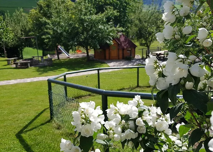 Gospodarstwo agroturystyczne Ignazhof